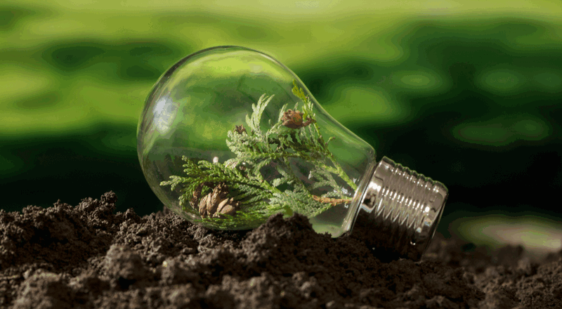 Ekologija ir pilietinis aktyvumas: sėkmė po protestų – sustabdyti planuoti masiniai kirtimai rekreacinėje zonoje